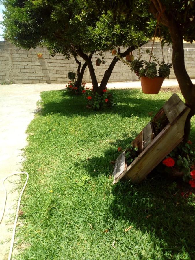 B&B Villa Del Sole Gizzeria Εξωτερικό φωτογραφία