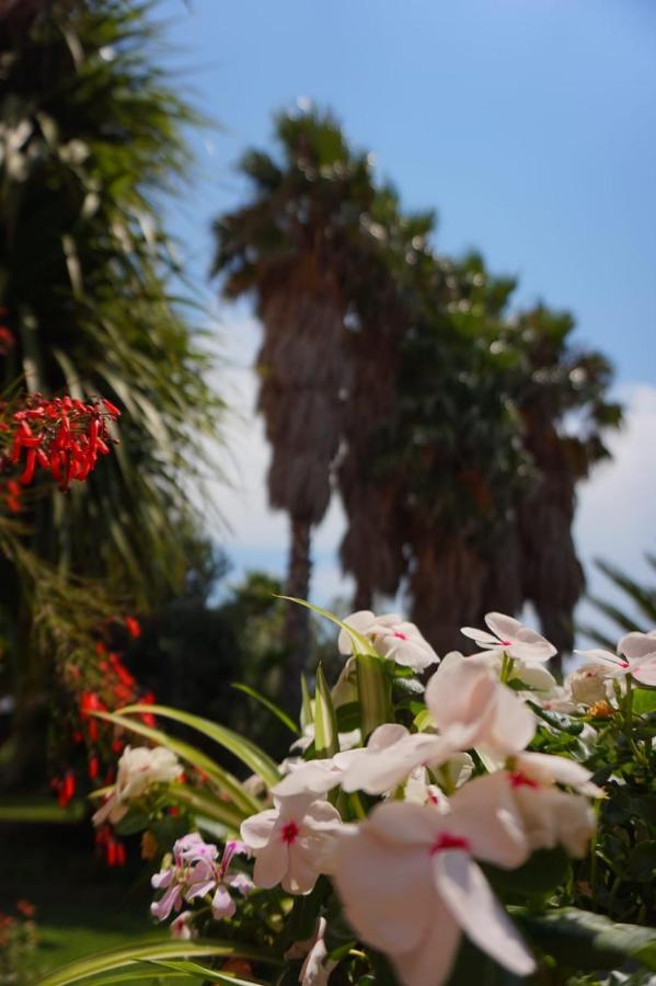 B&B Villa Del Sole Gizzeria Εξωτερικό φωτογραφία