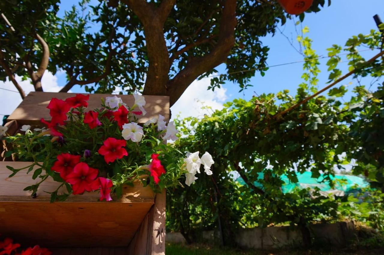 B&B Villa Del Sole Gizzeria Εξωτερικό φωτογραφία