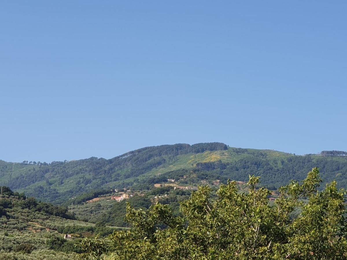 B&B Villa Del Sole Gizzeria Εξωτερικό φωτογραφία